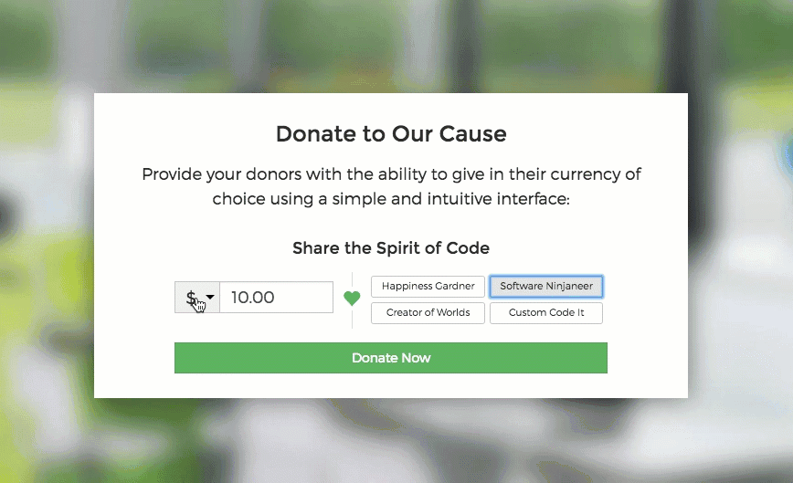 Customized Donation Form Currency Switcher Multiple Currencies